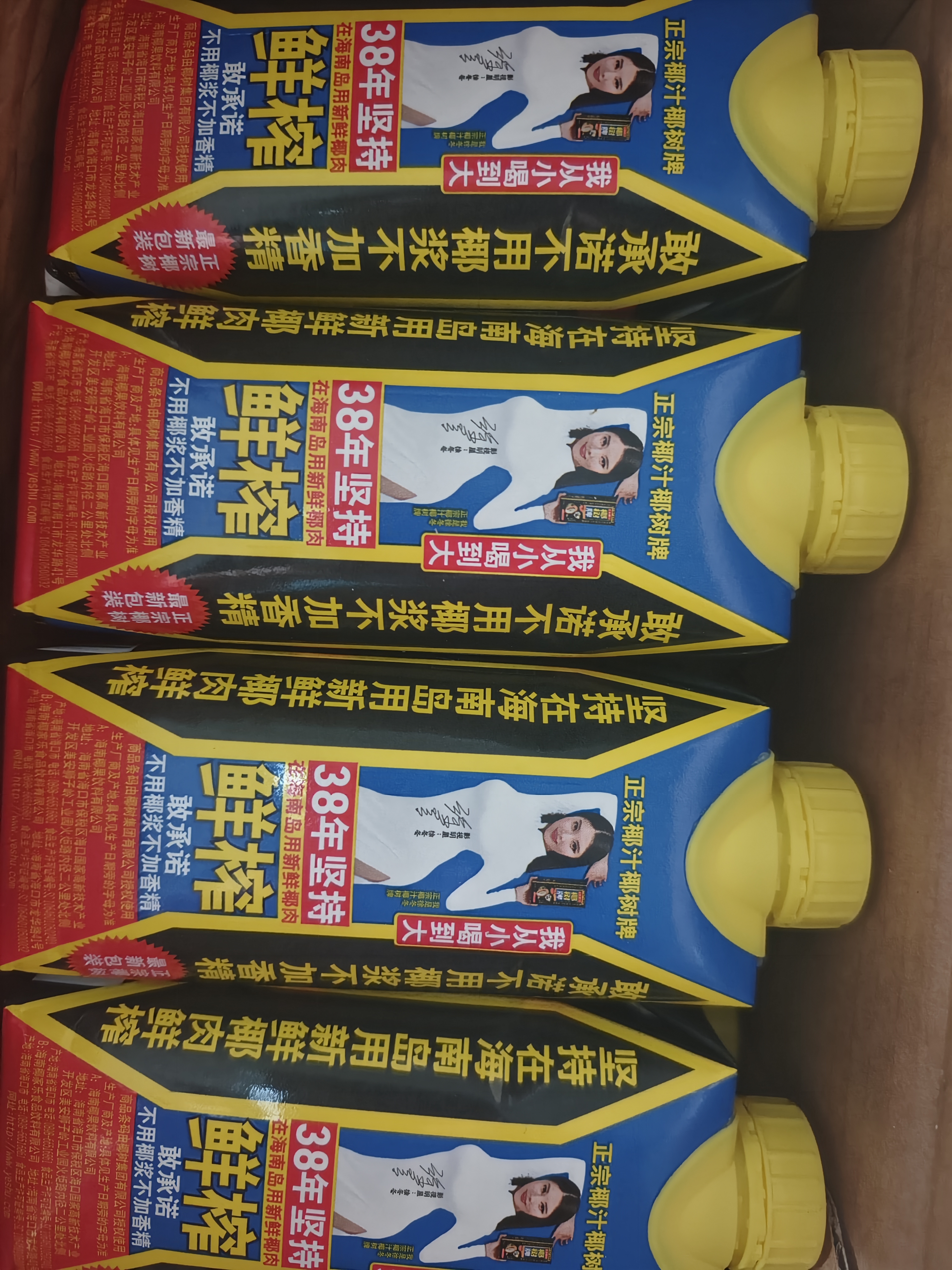椰树牌 正宗椰子汁  330ml*24盒整箱装  植物蛋白饮料 实拍图