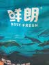 鲜朗低温烘焙猫粮无谷全阶段通用型鲜郎营养高蛋白鸡肉全价猫粮囤货装 烘焙猫粮2kg*4【囤货装】 实拍图