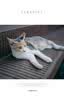松下（Panasonic）【官方直营】S9N/S9 +18-40mm套机全画幅入门级微单数码相机 复古外形 轻巧便携 实时LUT 4K视频 S9N丨S9+18-40mm套机【黑色】 实拍图