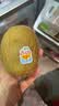 佳沛（zespri）新西兰金奇异果22粒巨大原箱146-175g猕猴桃水果礼盒 实拍图