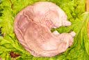 双汇猪肚子4斤免洗猪肚子整只净重4斤煲汤猪肚鸡食材源头直发 实拍图