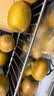 佳沛（zespri）新西兰金奇异果30-33粒原箱103-124g猕猴桃水果礼盒 实拍图