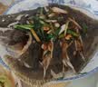 鲜活多宝鱼450-550g/条 实拍图