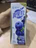 蒙牛真果粒蓝莓味牛奶饮品250g*12盒 新老包装 送礼礼盒 实拍图