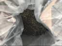 崂茗2026新茶叶绿茶青岛崂山绿茶浓香型250g罐装豌豆香崂山茶青岛特产 实拍图