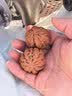 QMXD高抛精品原皮文玩核桃四座楼狮子头麒麟纹盘玩官帽核桃手把件核桃 【大师级】四座楼一对+工具 实拍图