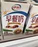 伊利早餐奶 新疆红枣250ml*16盒*1箱 礼盒装 实拍图