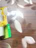 曼秀雷敦蜂蜜修护润唇膏原味4g保湿滋润唇膏去死皮淡化唇纹防干裂 实拍图