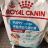 皇家狗粮 幼犬狗粮幼犬奶糕宠物中型犬MEJ32 全价犬粮 2-12月 4KG 实拍图