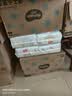 好奇（Huggies）金装小黑洞纸尿裤L132片(9-14kg)尿不湿【速干不易红】 实拍图