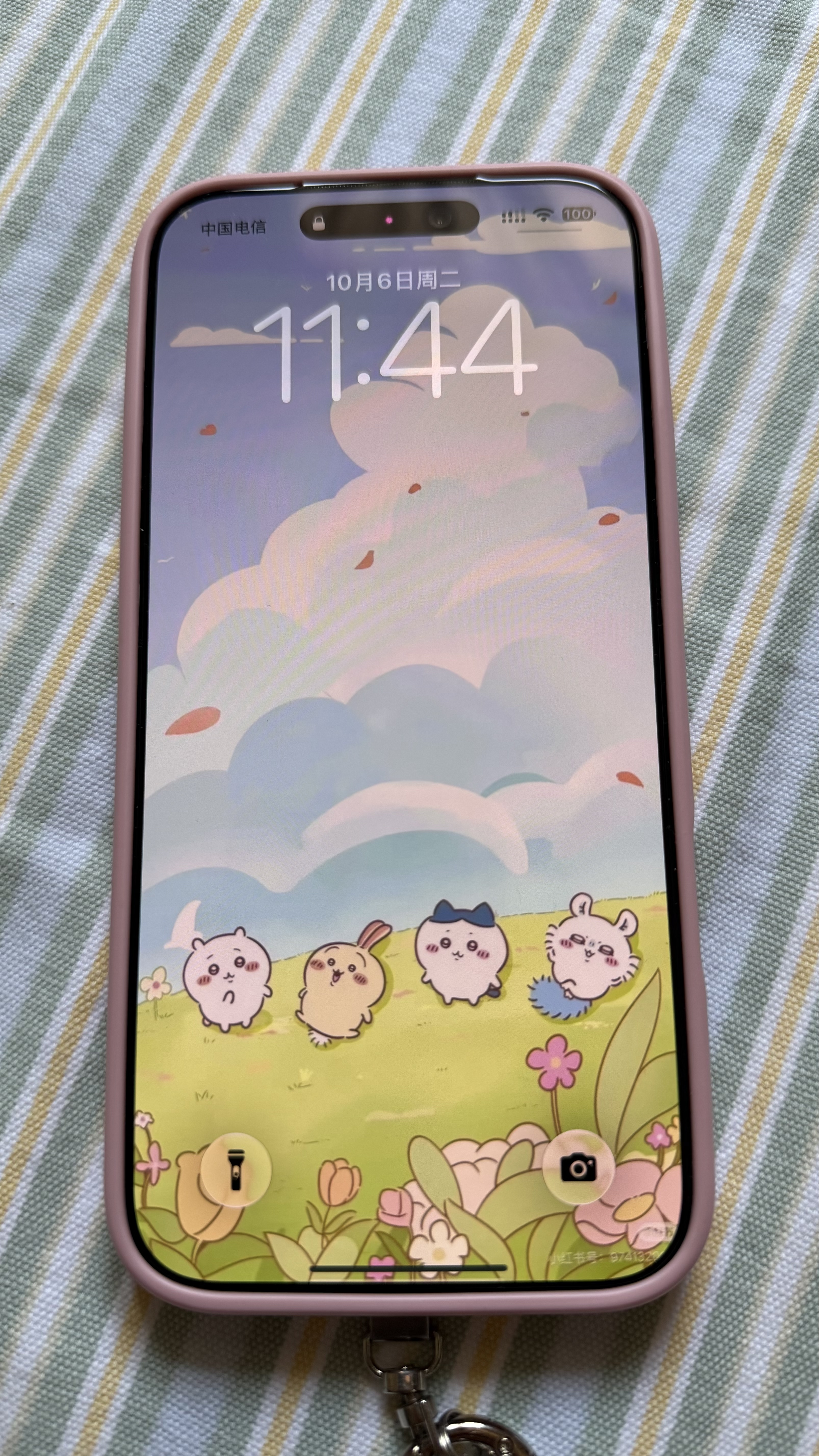 Apple/苹果iPhone 17 Pro Max 256GB 星宇橙色 移动联通电信5G双卡双待手机 送礼好物 实拍图