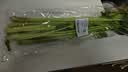 香芹约300g 实拍图