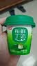 燕塘 低温抹茶鲜牛奶布丁 100g*3杯 3.3g乳蛋白 休闲零食 热门商品 实拍图