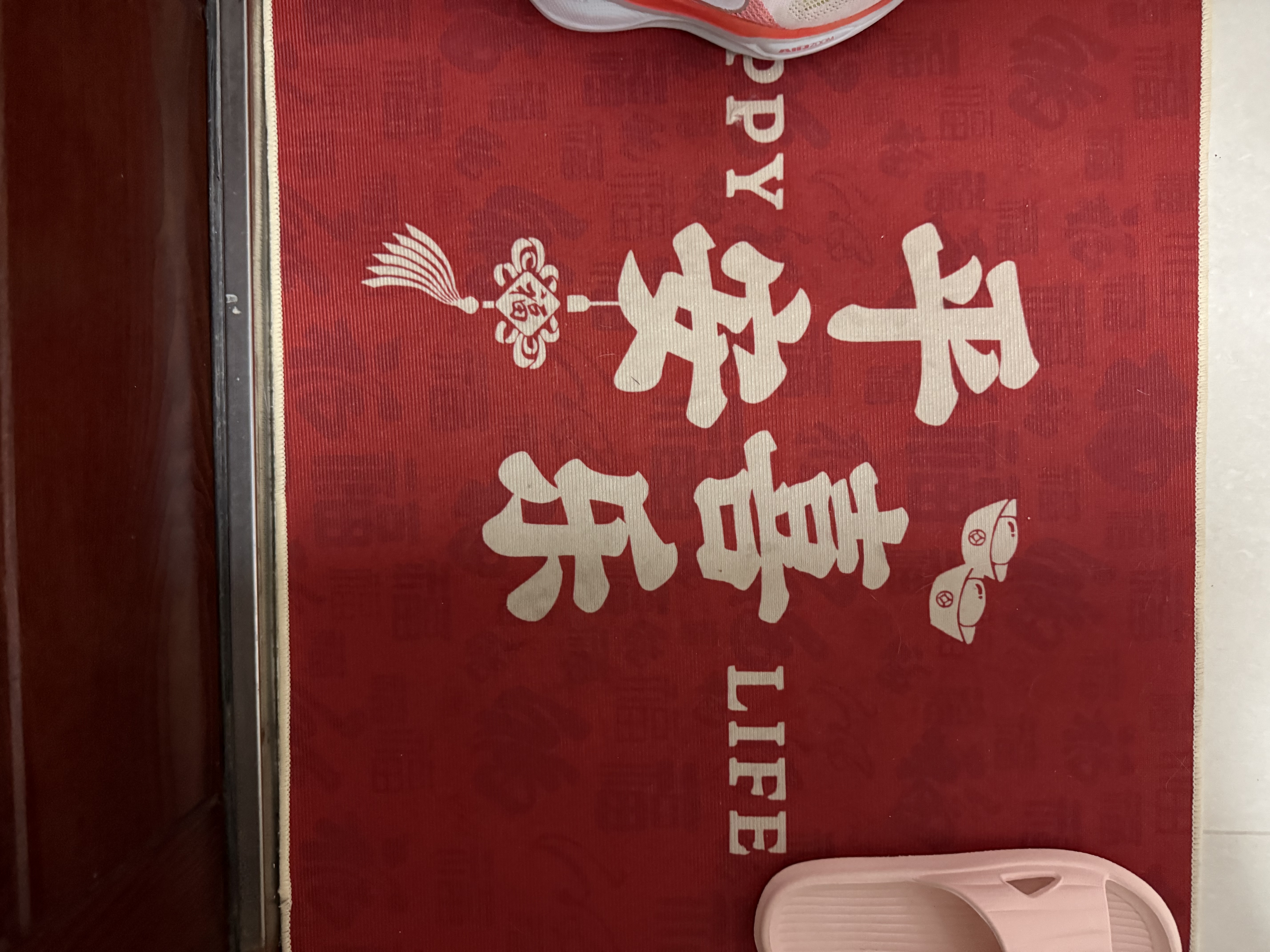 简美家入户门地垫进户门口垫子客厅玄关脚垫可裁剪防滑进门地毯60*90cm 实拍图