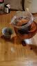 宣室堂【现货速发】加厚玻璃茶壶小号玻璃耐热耐高温泡茶壶水分离泡茶套 550ml 只售单壶 不送小杯 550ml 实拍图