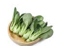 七鲜24小时油菜苗250g(长度≤17cm) 实拍图