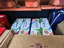 伊利【新鲜日期】纯牛奶250ml*24盒 3.3g优质乳蛋白早餐奶 实拍图