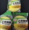 龟牌 （Turtle Wax）压边掌心打蜡海绵 汽车用品上光海绵 汽车绵3只装 实拍图