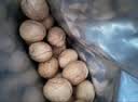 楼兰蜜语薄皮大核桃500g/袋*2 新疆纸皮核桃新货 新二核桃零食坚果炒货 实拍图