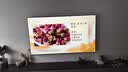 FFALCON雷鸟电视鹏7 Plus26款 75英寸 全通道360Hz HDMI2.1 超高刷游戏影音 高阶VA屏平板电视75S78A Plus 实拍图