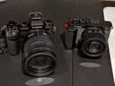 松下【12期免息】24-60mm F2.8全画幅微单相机标准变焦镜头（Panasonic）（S-E2460GK）L卡口风景特写 实拍图