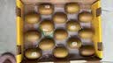佳沛（zespri）新西兰 金奇异果特大果15粒134-146g猕猴桃水果礼盒 实拍图