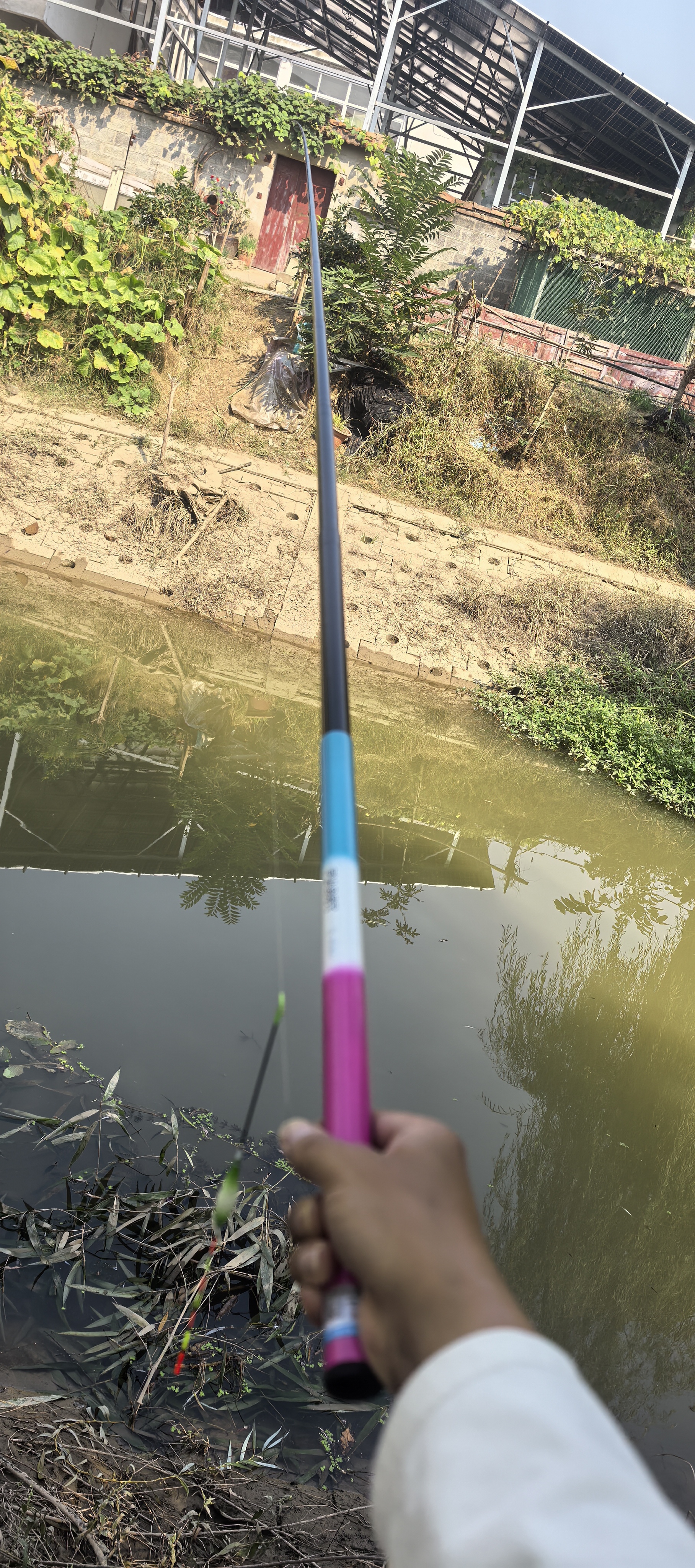 小物竿超短迷你小手竿便携超细钓鱼竿溪流竿钓虾竿儿童鱼竿钓小鱼 3.6m28调迷你冰蓝粉 实拍图