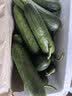 山东荷兰水果黄瓜青瓜无刺小黄瓜生吃水果蔬菜减脂轻食源头直发 净重 4斤 实拍图