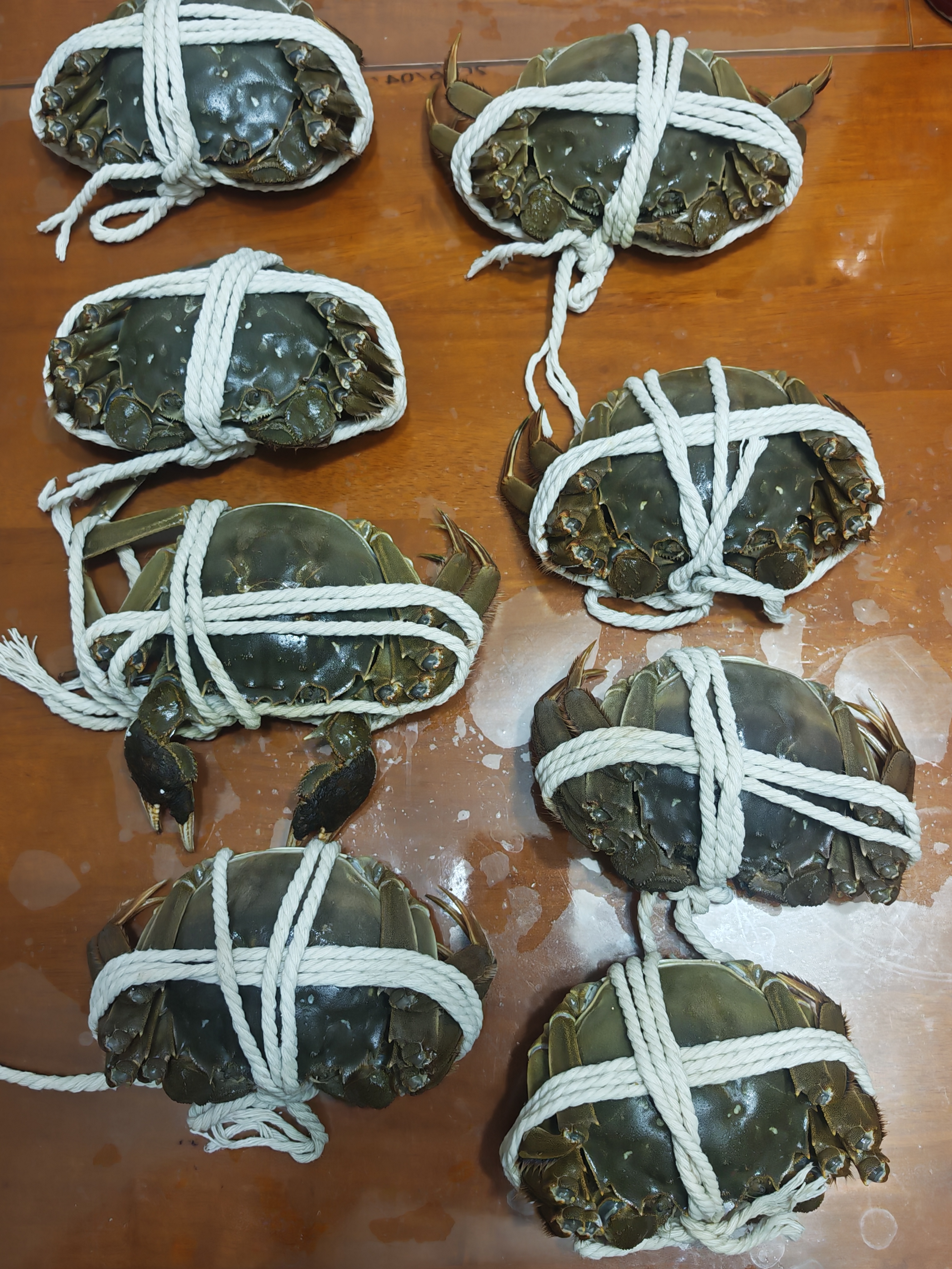 【活蟹】漁家师傅大闸蟹全母4.5-4.8两8只 去绳足重鲜活螃蟹现货生鲜水产礼盒 金秋送礼 实拍图