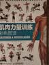 【包邮】肌肉力量训练彩色图谱 拉伸训练书体育运动健身书籍练肌肉力量训练全书减脂增肌健身教练书籍健美书 减重 京东减重 实拍图