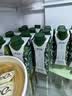蒙牛特仑苏有机纯牛奶梦幻盖250ml*16盒 3.8g优质蛋白 送礼礼盒 实拍图