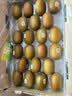 佳沛（zespri）新西兰金奇异果22粒巨大原箱146-175g猕猴桃水果礼盒 实拍图
