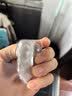 强生隐形眼镜 日抛 水凝胶进口 安视优舒日30片装 450度 实拍图