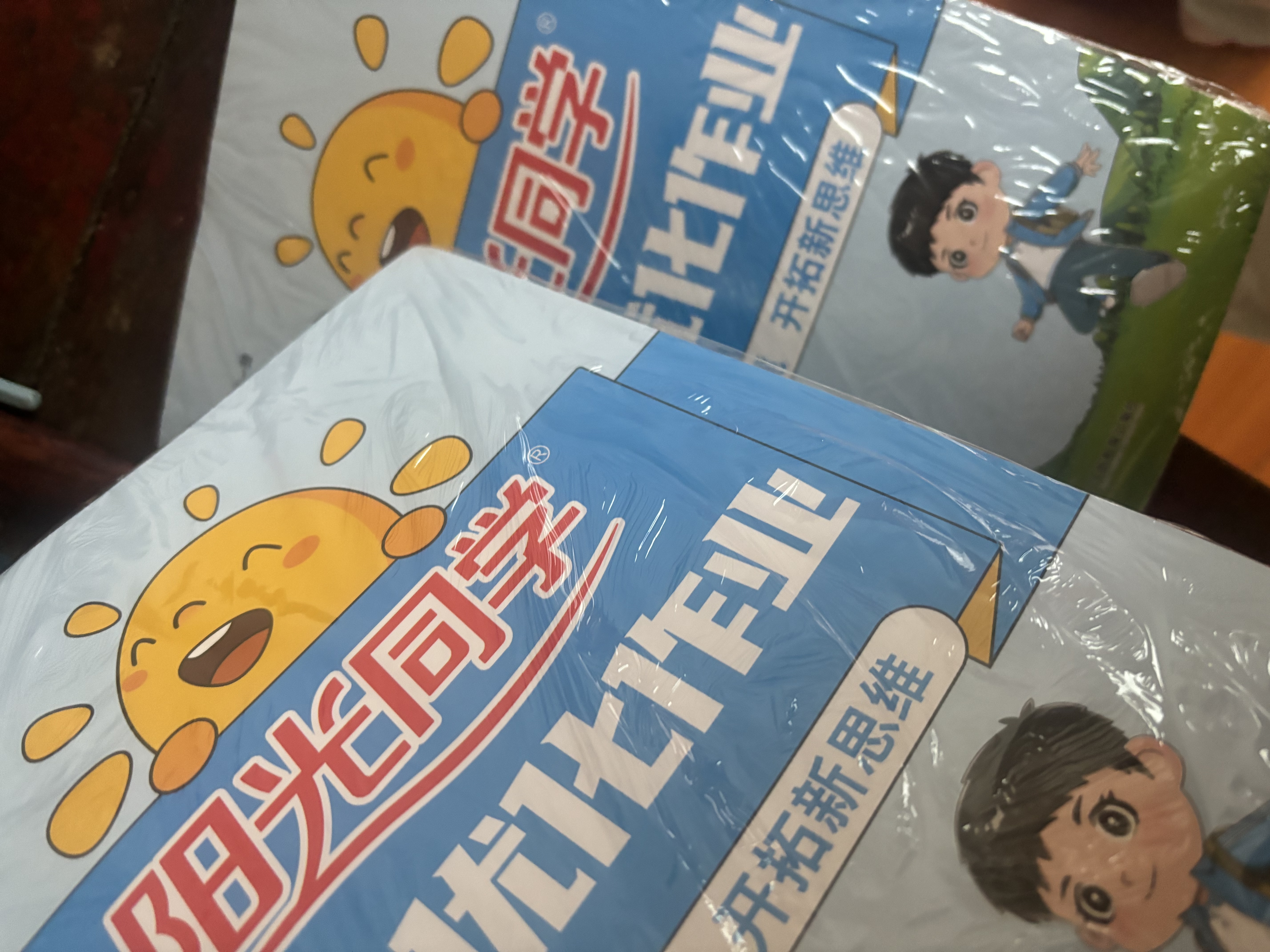 阳光同学 2026秋新版 课时优化作业二年级上册数学人教版RJ同步训练 小学2年级同步教材练习册全套一课一练课时作业本课课练 实拍图