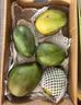 京鲜生 攀枝花【即食大果】凯特芒果 净重10斤 单果700g 5-7颗 生鲜礼盒 实拍图