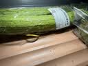 碧水长丝瓜约700g 实拍图
