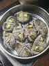 【活蟹】漁家师傅大闸蟹全母3.5-3.8两8只去绳足重鲜活螃蟹现货生鲜水产礼盒中秋送礼 实拍图