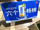 养元六个核桃 无糖型核桃乳植物蛋白饮料 240ml*24罐 整箱装 实拍图