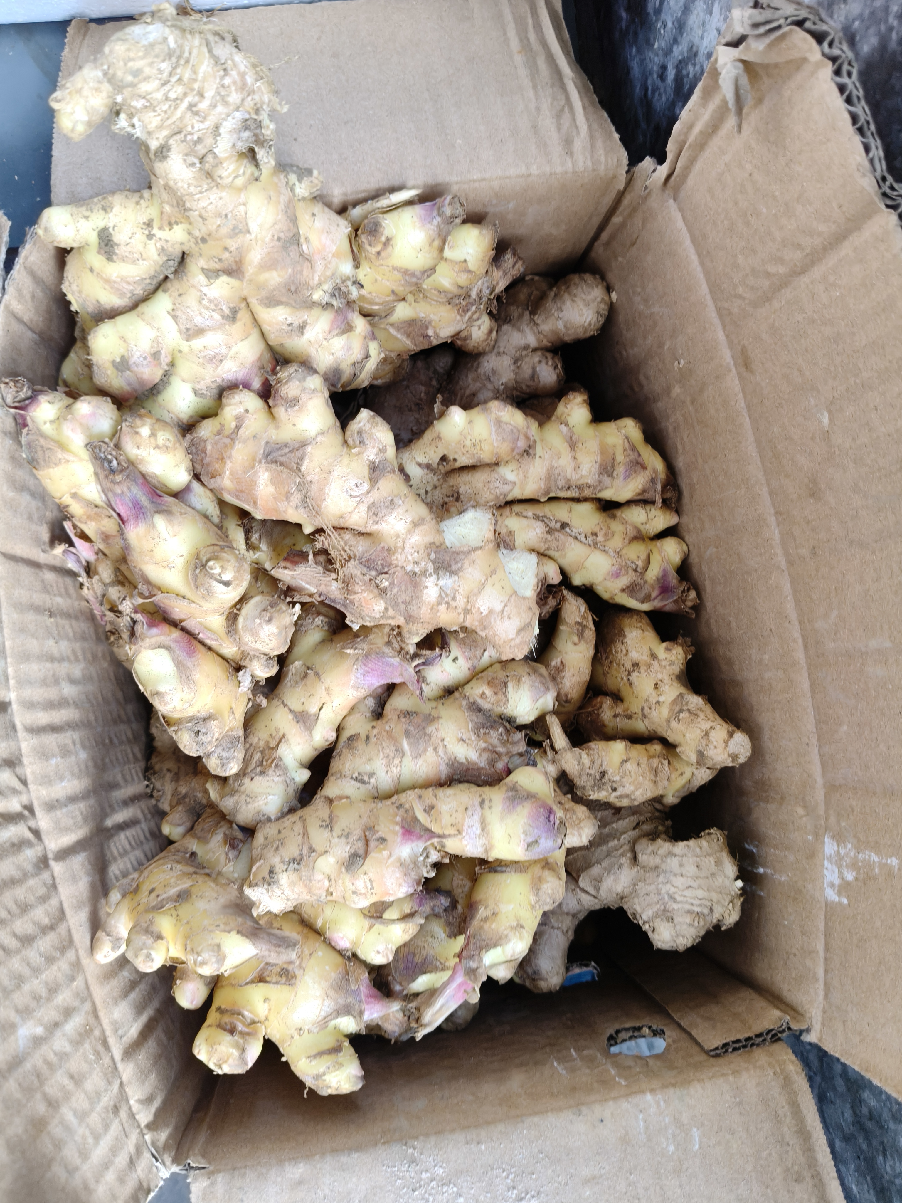 京鲜生 云南小黄姜 净重5斤 新姜生姜 新鲜现挖 单果50g+ 源头直发包邮 实拍图
