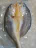 鲜京采醇香黄鱼鲞6条/1.2kg(单条190-210g)三去处理【京东自有品牌】 实拍图