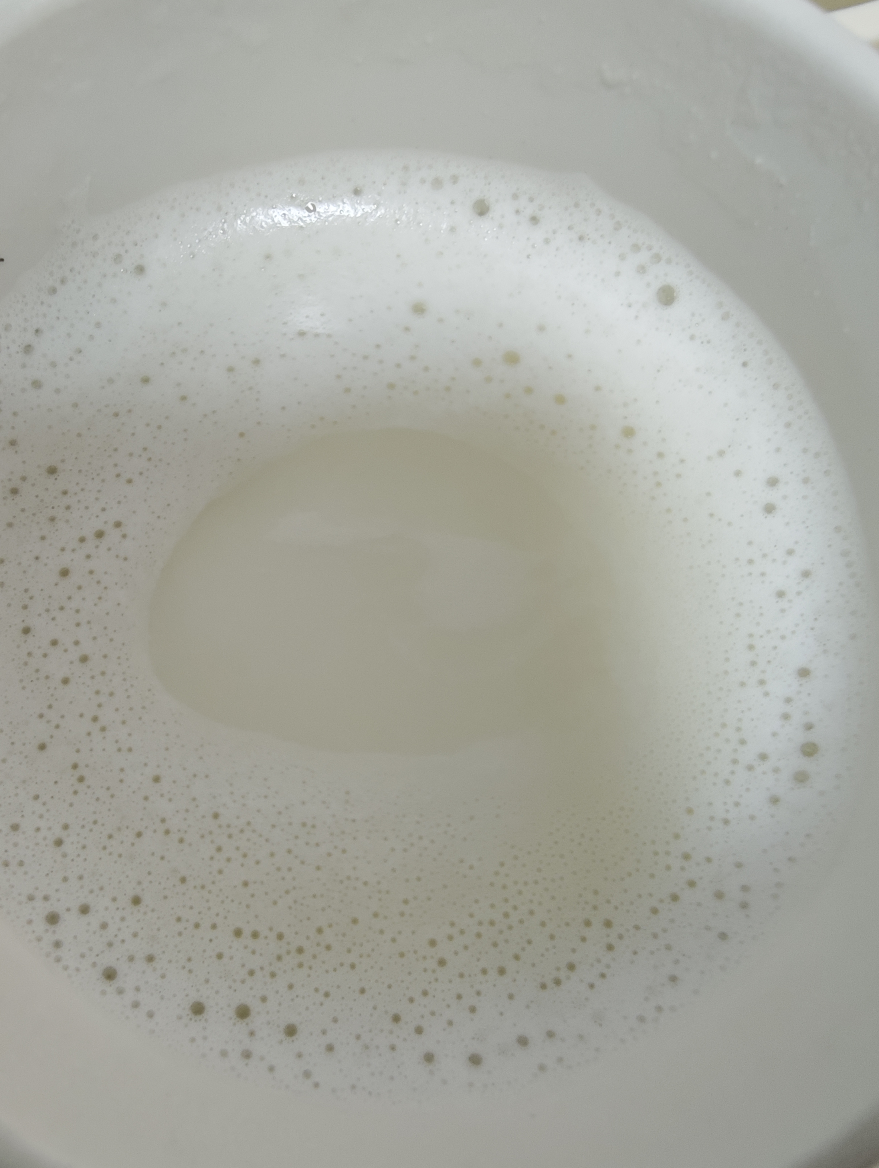 九阳（Joyoung）【重磅新品】豆浆机家用2-4人全自动有钛0涂层钢盖免煮免滤可视化轻音破壁机古法养生预约PR2158 实拍图