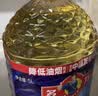多力经典葵花籽油5L+玉米油238ml 一级压榨食用油 实拍图
