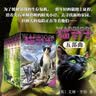 猫武士五部曲（全6册）曲族群黎明 儿童文学动物小说自主阅读生存勇气成长励志 奇幻冒险小说 中小学生青少年提升写作作文能力 课外书王芳推荐暑假作业 一升二暑假衔接 小升初暑假衔接 暑期阅读 课外推荐 实拍图
