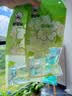 老管家收纳专用除湿宝12袋（2袋/包*6）除湿袋干燥剂室内衣柜汽车吸湿 实拍图