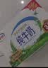 伊利【新鲜日期】纯牛奶250ml*24盒 3.3g优质乳蛋白早餐奶 实拍图