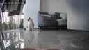 维达（Vinda）厨房用纸【张凌赫推荐】抽纸80抽*3包 6倍吸油吸水懒人抹布厨房纸 实拍图