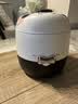 美的（Midea）萌兰联名款小熊猫电饭煲家用小型1-2人1.2L电饭锅宿舍DIY抗菌白玉釜煮粥米饭锅 JA123 实拍图