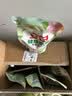 立白健康除菌天然洗衣液12斤手洗机洗15分钟快洗留香除螨抑菌祛味去渍 实拍图