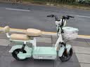 台铃电动自行车小锦鲤2026新国标电动车48V13AH铅酸电池长续航可上牌男女通勤代步上班电瓶车茵茵绿 实拍图
