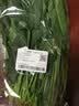 大菠菜300g 实拍图